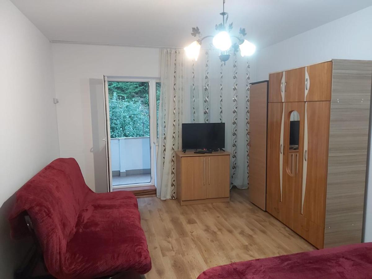 Apartament Nemira Slănic-Moldova Εξωτερικό φωτογραφία