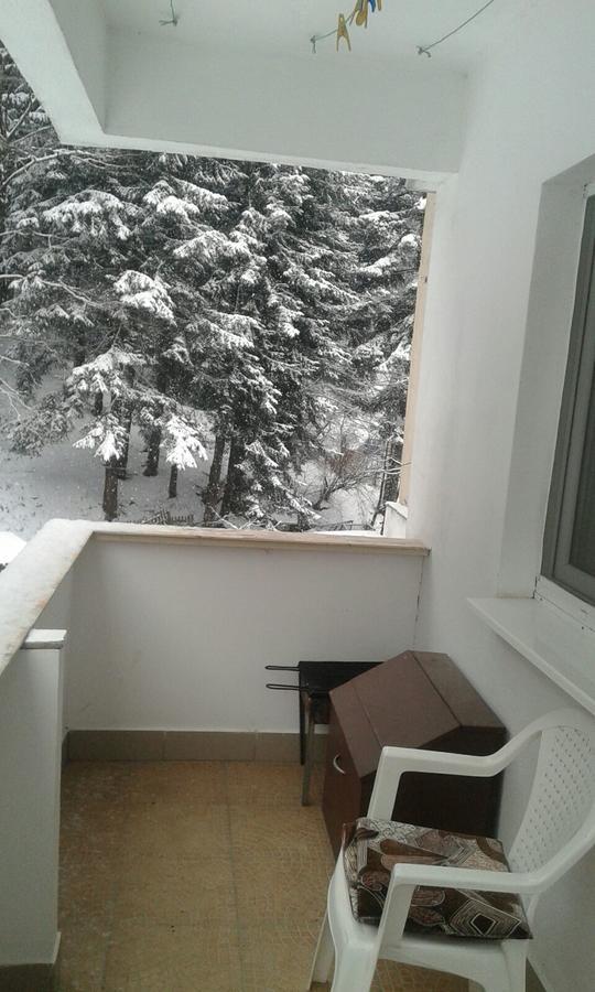 Apartament Nemira Slănic-Moldova Εξωτερικό φωτογραφία